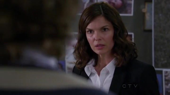 Jeanne Tripplehorn As New Ssa Alex Blake In