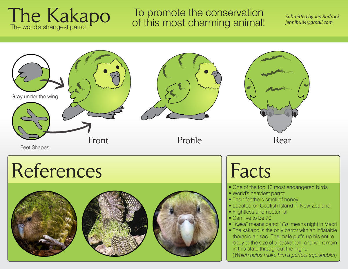 kakapo plushie