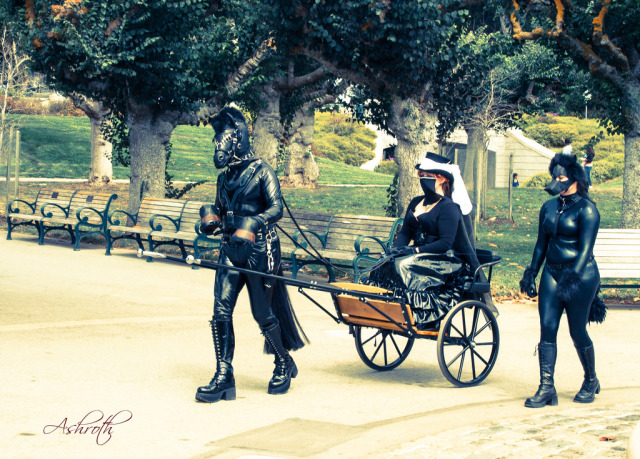 Untitled Enjoying A Ride Through The Park With A Human Pony