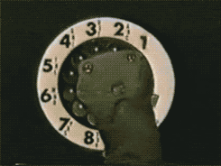 united states of whatever sifl and olly united states of whatever sifl and olly