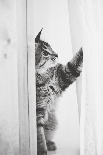 ak47 : tumblr