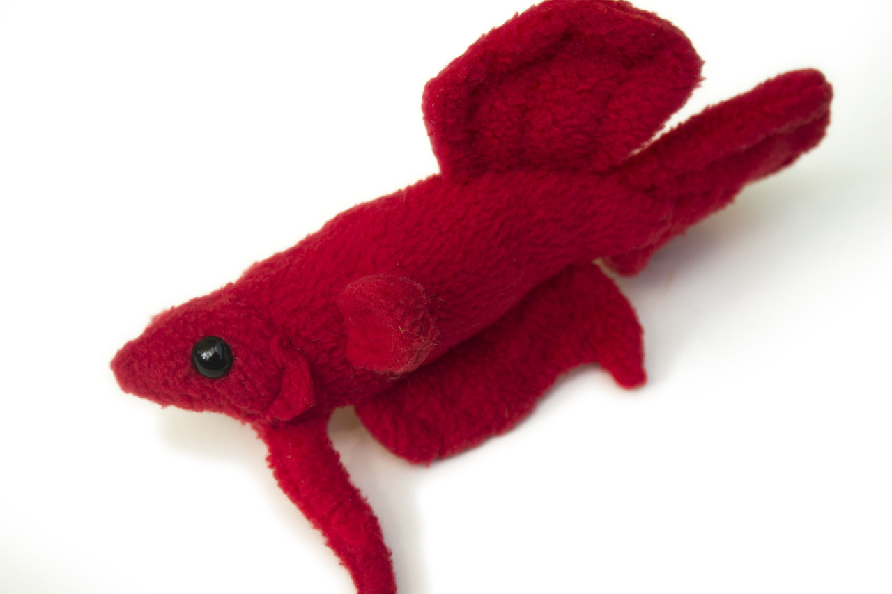 custom betta fish plush