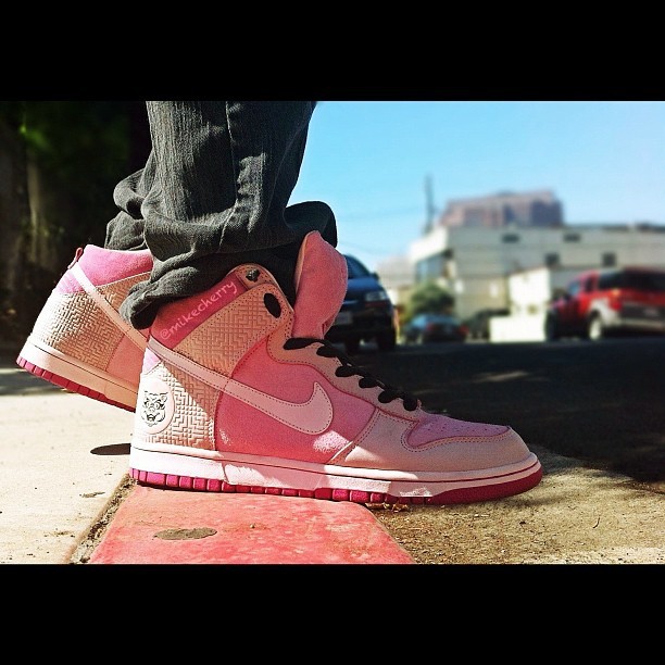 nike dunk year of the pig