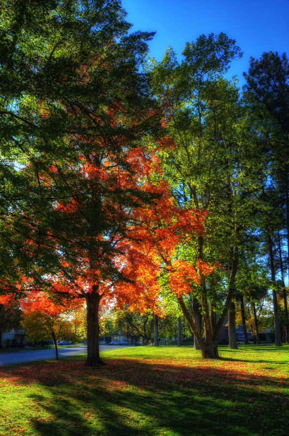 Laura's Magical Room • Autumn Glow (by NikonDigifan)