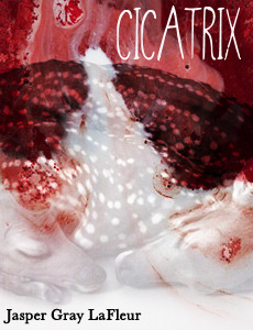 Cover for my 2012 NaNoWriMo novel titled Cicatrix.A novel-thing...