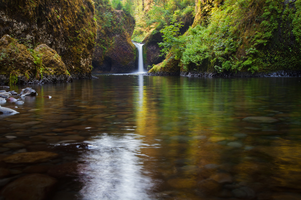 AllTrails Journal – Mount Hood National Forest Located just 60 miles