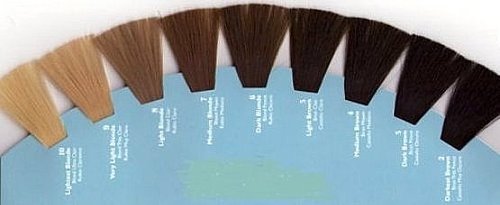 Level 6 Hair Color Chart