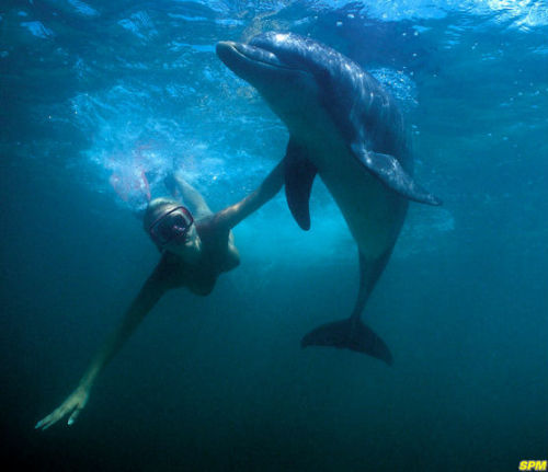 awesomenudist:Swimming with dolphins would be so fun!