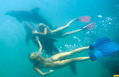 awesomenudist:Swimming with dolphins would be so fun!