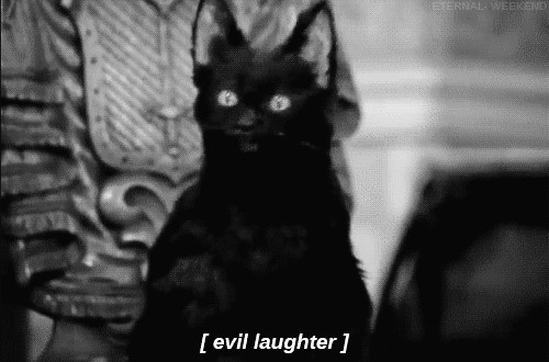 Tumblr Black Cat Porn - screwyouflightlieutenant | Tumblr
