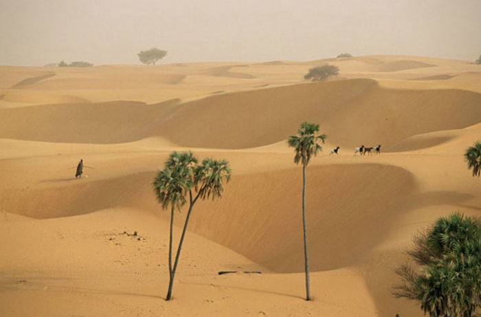 ourafrica: The Sahel desert covers a large... - The Africa They Never ...