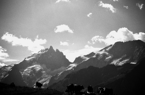 La Meije (French Alps) - Été 2012