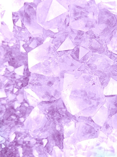 light purple on Tumblr