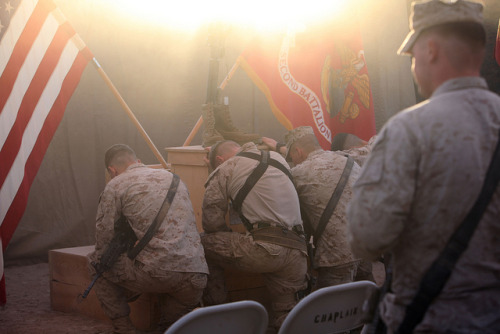 militaryandweapons:2/6 Honors Fallen Platoon Commander [Image...