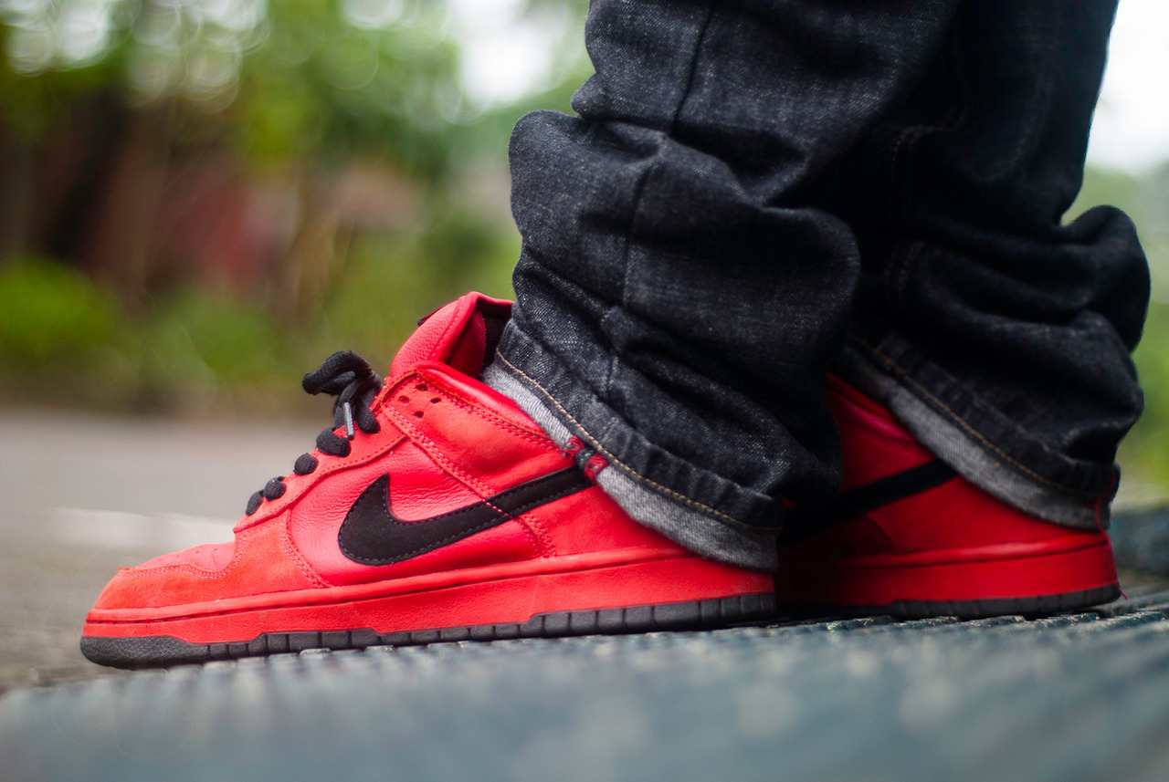 nike sb true red