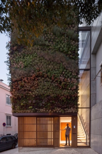 cabbagerose:<br /><br />house in lisbon, portugal<br />via: stefanoandrighetto<br />