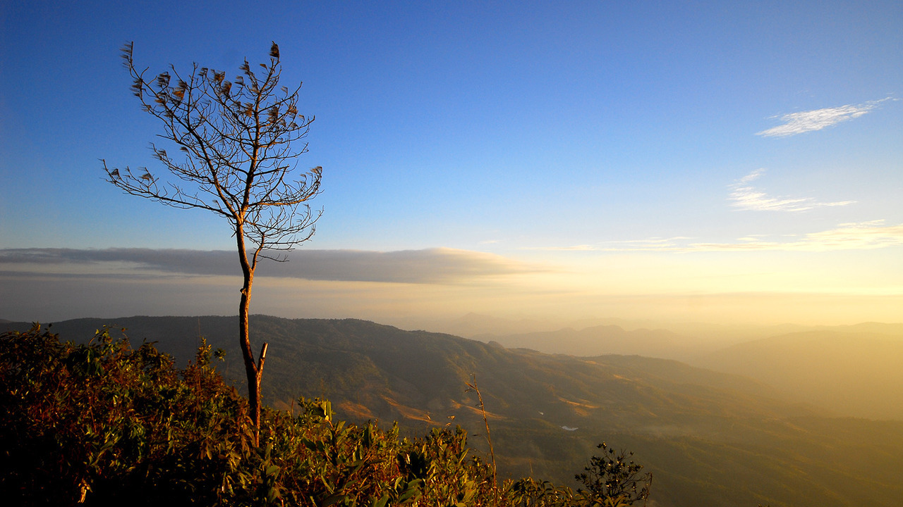 Another popular destination in Winter is Phu Kradueng National Park, Loei. The goal is to hike up to the summit and conquer the distance of 1,325 meters above sea level. Have you ever been there? ＼（★´−｀）人（´▽｀★）／ http://bit.ly/Sbeqbw