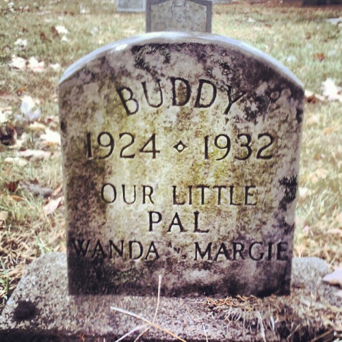 happy halloween minneapolis minnesota pet cemetery roseville roseville pet cemetery twin cities buddy 1924 1932