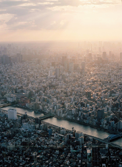 dontrblgme:A Sunset of Tokyo (via urarin)