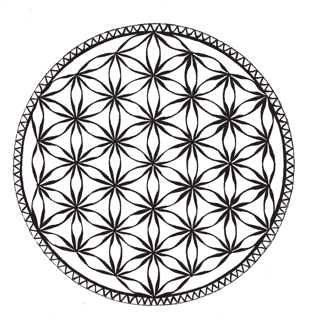 Hexagonal Awareness Project | kaleidoscopicexpressions: flower of life ...