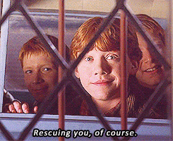 SAUL | you don't have to make any promises - Page 9 Tumblr_md5gviq7371qf0zq1o3_250