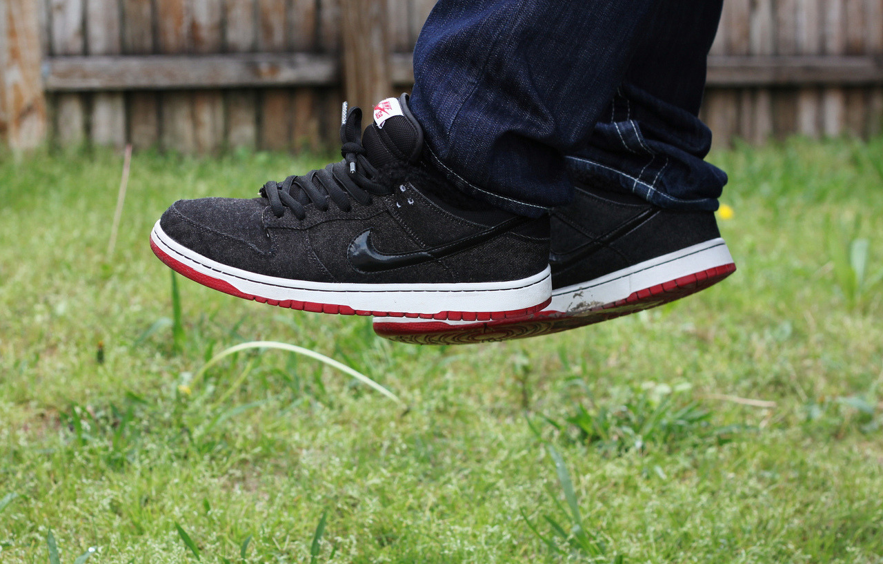 nike sb chirping bird