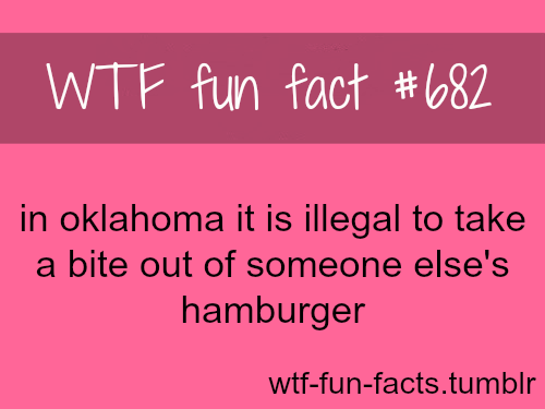 dumb-and-weird-laws-more-of-wtf-fun-facts-are