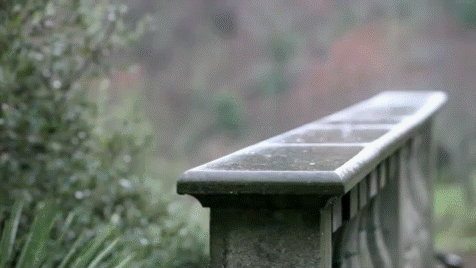 tumblr_mdmpkxymXw1rv9cdco1_500.gif