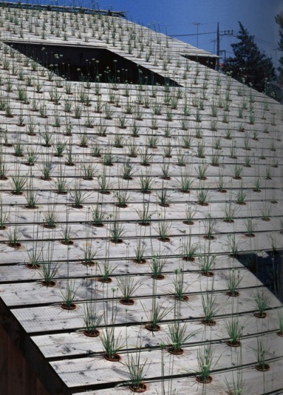 landscapearchitecture:<br /><br />(via garden  landscape architecture, terraces / Fujimori Terunobu  Nobumichi Ohshima - Roof detail of the Nira House (Leek house),)<br />