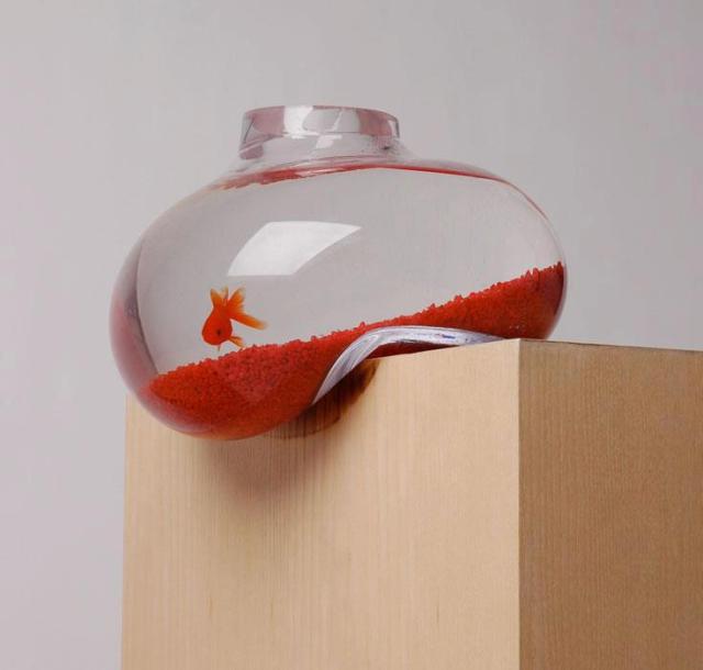 funny-fish-tank