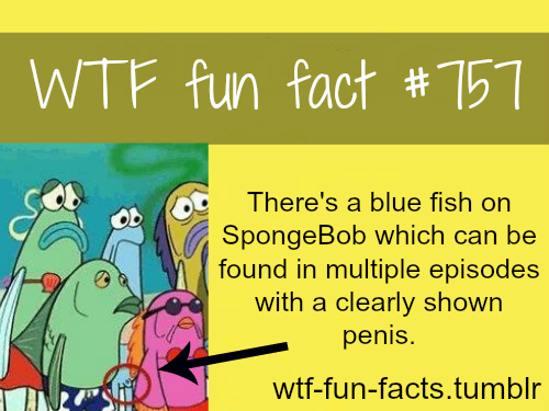 Spongebob Facts More Of Wtf Fun Facts Are Coming 