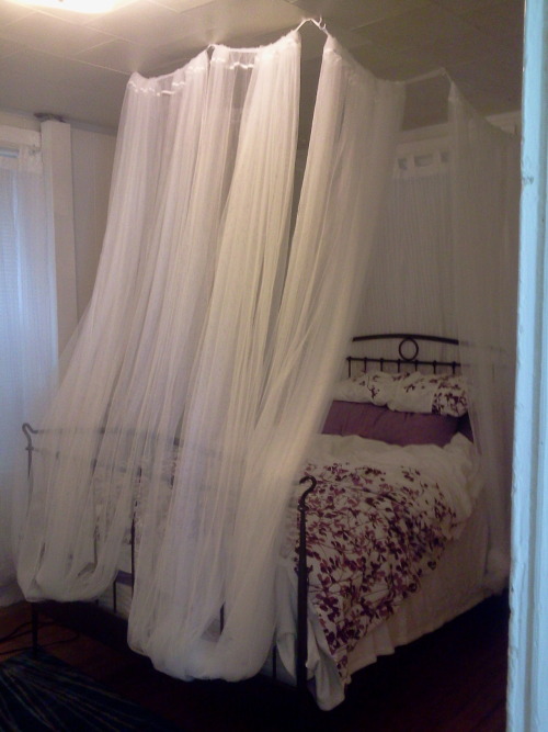 bed canopy on Tumblr