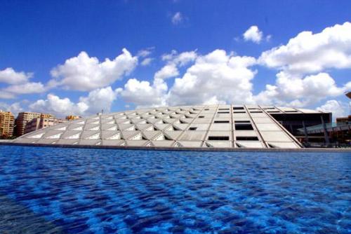 allthatweseeandseem:The New Library of Alexandria, the New...