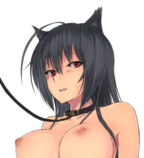 Sexy catgirls and stuff