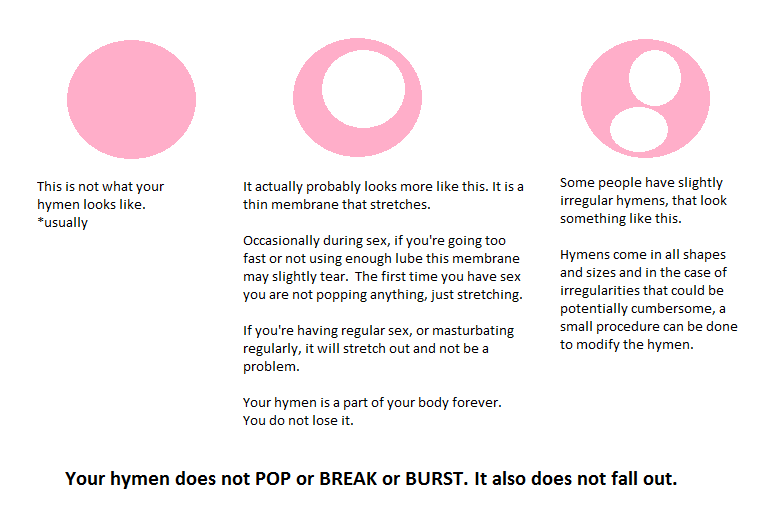 Chromosomes other than sex chromosomes are autosomes Nude Photos 57 Chromosomes other than sex chromosomes are autosomes Nude Photos 5