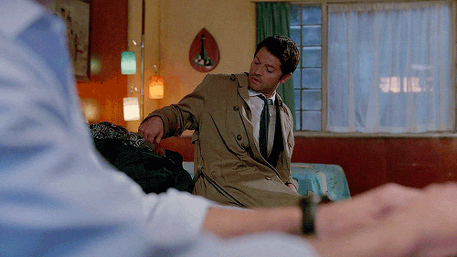 hashtagteamfreewill:gingerhaole:puptart:Cas is that one...