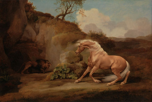 George Stubbs english 18th Century painting oil on canvas animals horse lion