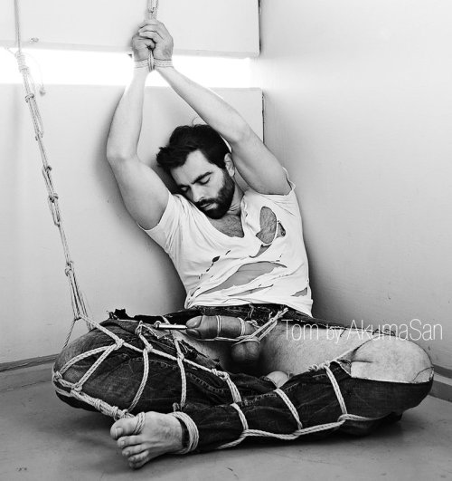 Tom woodson tumblr adult gallery