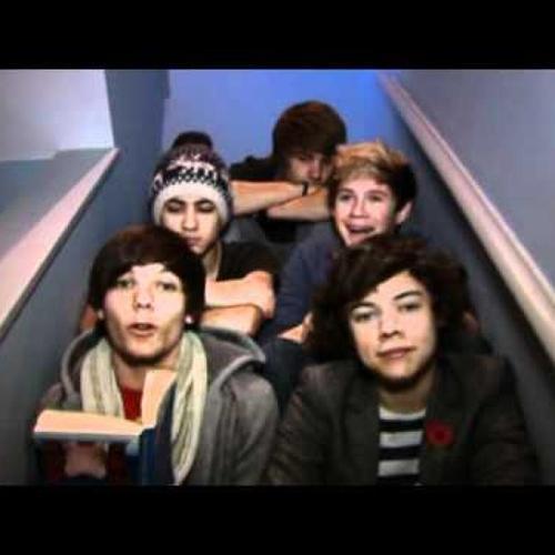 video diary one direction week 6