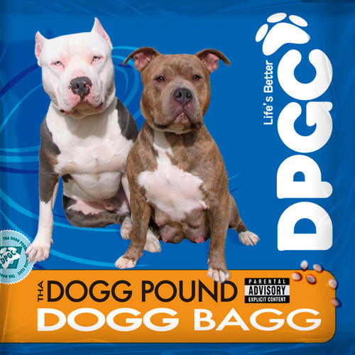 dogg pound dogg food slowed