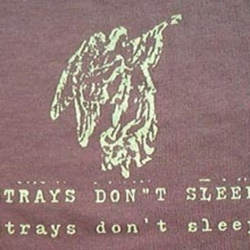strays dont sleep