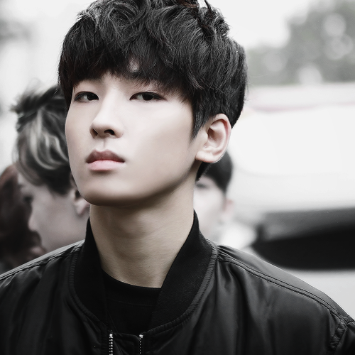 Wonwoo Moans