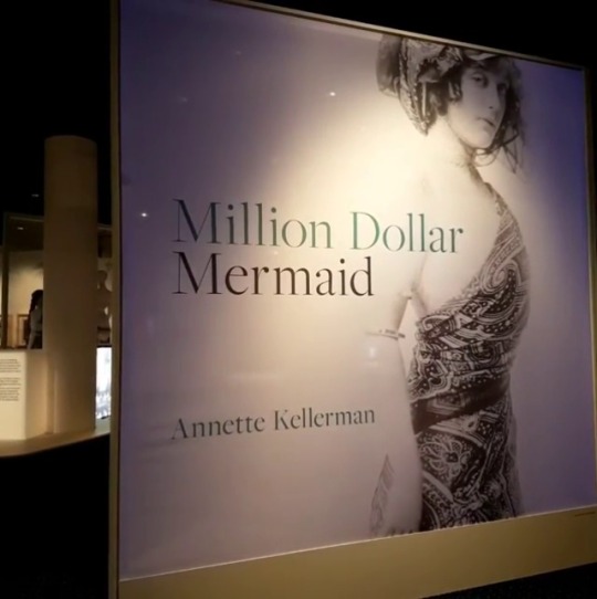 the million dollar mermaid book