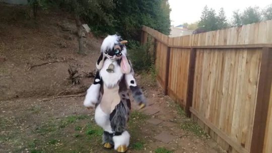 goat fursuit on Tumblr