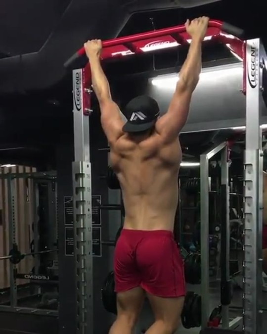 Back Workouts For Mass Tumblr