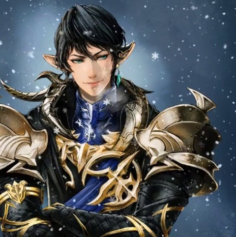 Albert aymeric. Aymeric. Aymeric Art FFXIV. FFXIV Sir Aymeric.