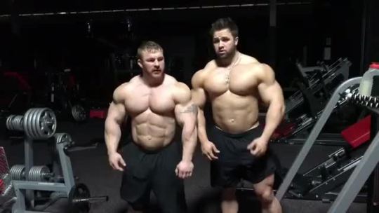 Muscle brothers Flex