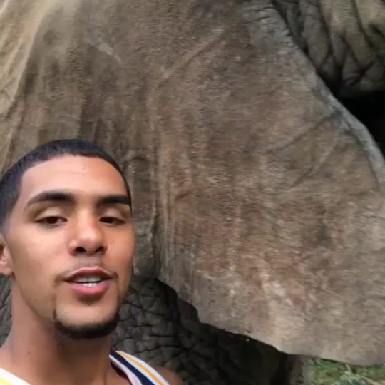 coldgamekelv: Met Bubbles the elephant today ❤️🐘 