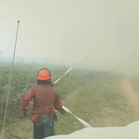 voidmutt: southernsideofme:  Hose sucked in by fire Tornado   i cant tell which is