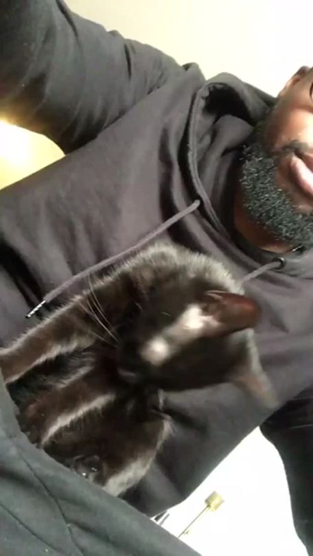 theyoungblackking:  Such a good kitty!